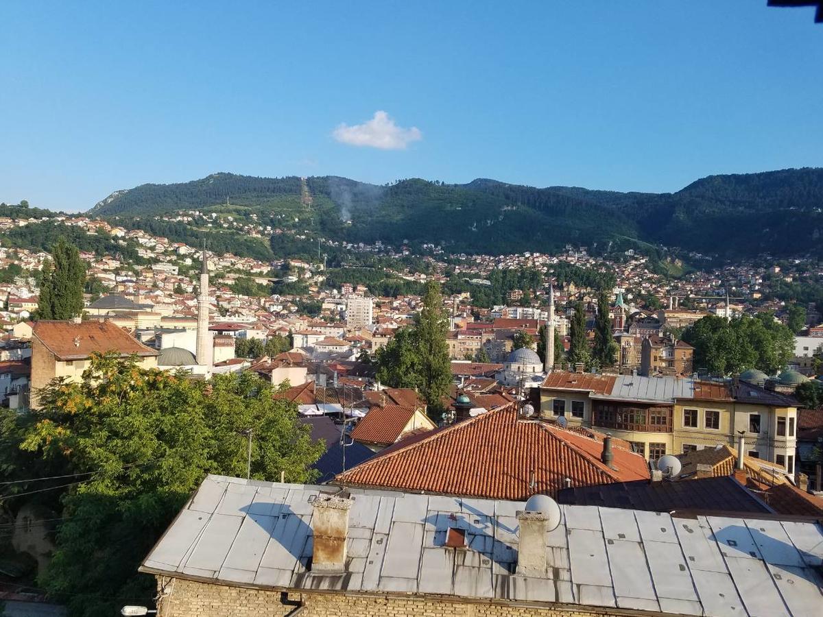 Curovac View
